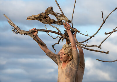 Êtres de bois de Fleuve | Espace danse. Interprète : Geneviève Robitaille. Photo : Elisabeth Morin
