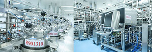 Aurisco Pharmaceutical is the First Generic Oligonucleotide Manufacturer in the World successfully inspected by USFDA
