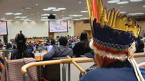 New Report: Despite Improved Recognition of Indigenous Peoples, Fragmented Rio Conventions Limit Indigenous Influence