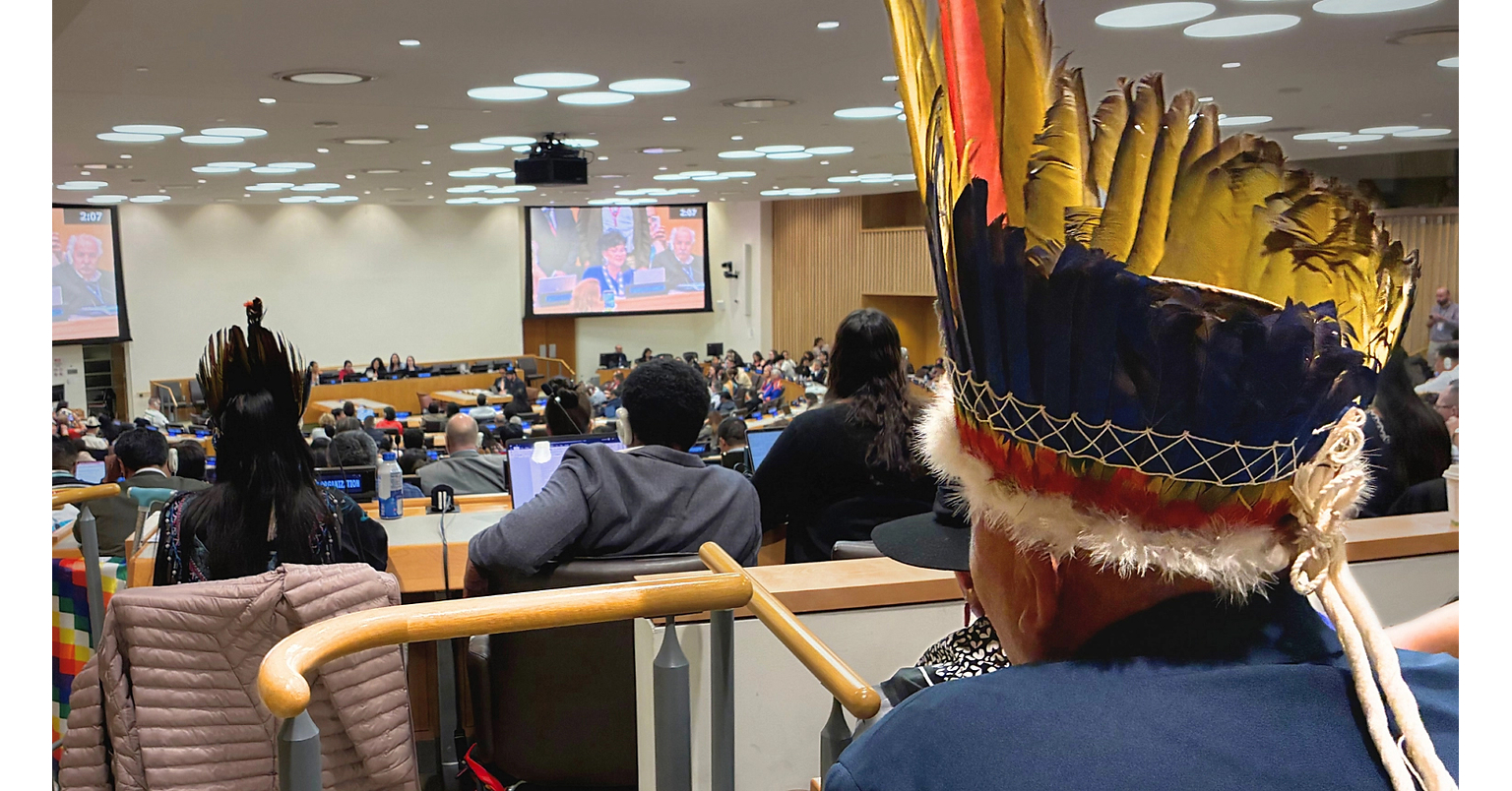 Neuer Bericht: Trotz einer besseren Anerkennung indigener Völker schränken die fragmentierten Rio-Konventionen den Einfluss indigener Völker ein