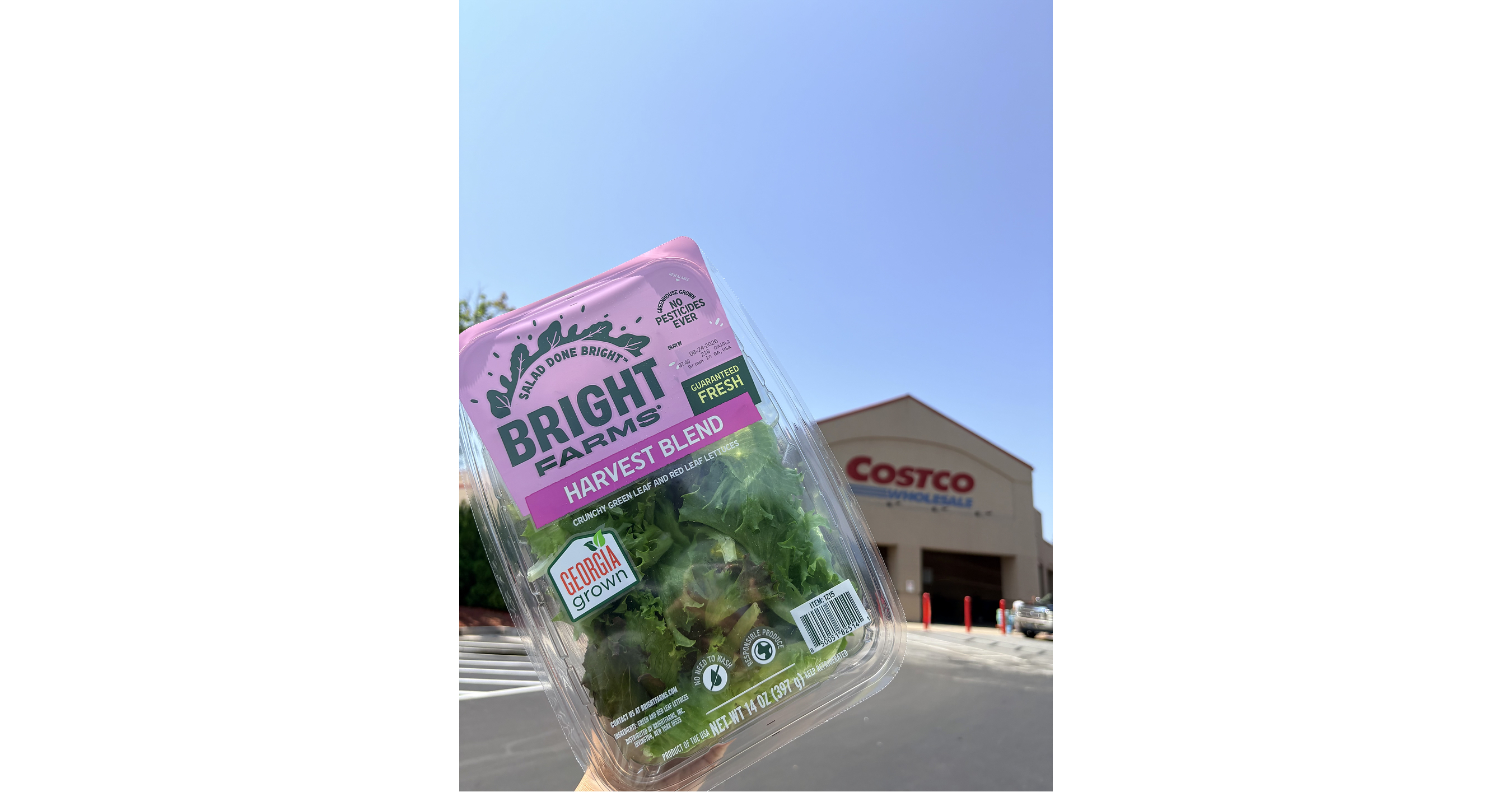 BrightFarms Brings Georgia-Grown Salad Greens to Atlanta-Area Costco Stores