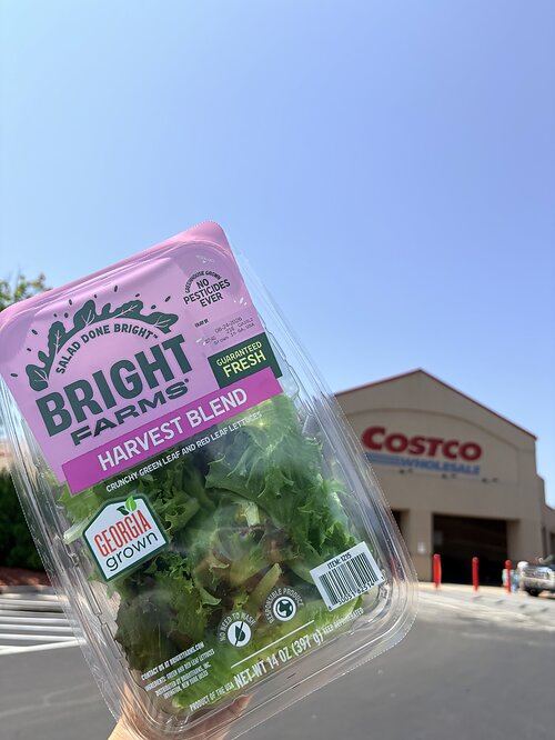 BrightFarms' Georgia-grown salad greens are now available  at Atlanta-area Costco stores