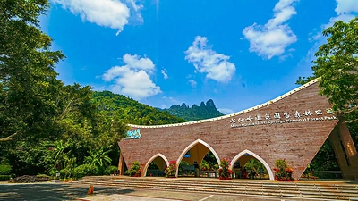 Rainforest summer retreat– Discover a New Vacation Experience at Qixianling, Baoting, Hainan