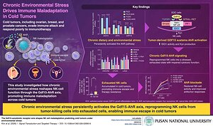 Pusan National University Researchers Uncover How Chronic Environmental Stress Drives Immune Dysfunction in Cold Tumors