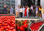 Red Gold from Europe promotes the Culinary Heritage of Italian and EU Preserved Tomatoes in Qatar