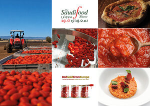 Saudi Arabia imports of canned tomatoes from the EU and Italy continue to grow in 2025 and 2026