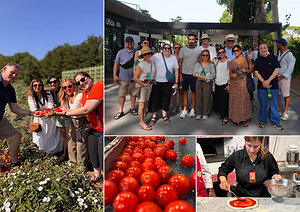 Red Gold from Europe promotes the Culinary Heritage of Italian and EU Preserved Tomatoes in the UK