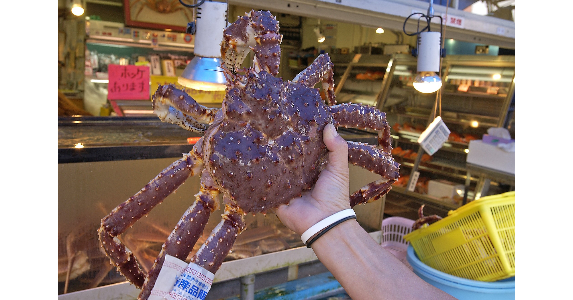 Sapporo Tourist Association: A Spotlight on Sapporo's Local Gastronomy