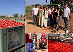 Red Gold from Europe promotes the Culinary Heritage of Italian and EU Preserved Tomatoes in Saudi Arabia