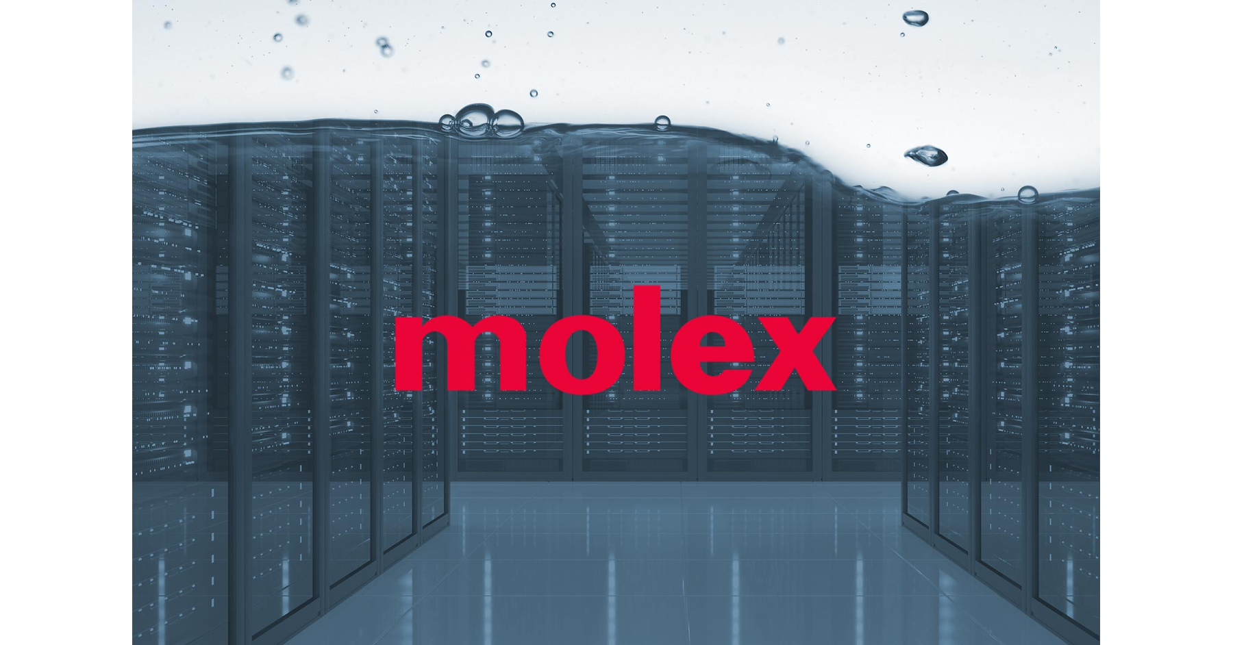 TRW Molex Invests in CAEPlus to Advance Thermal Management with Active Liquid Cooling Solutions for AI Data Centers