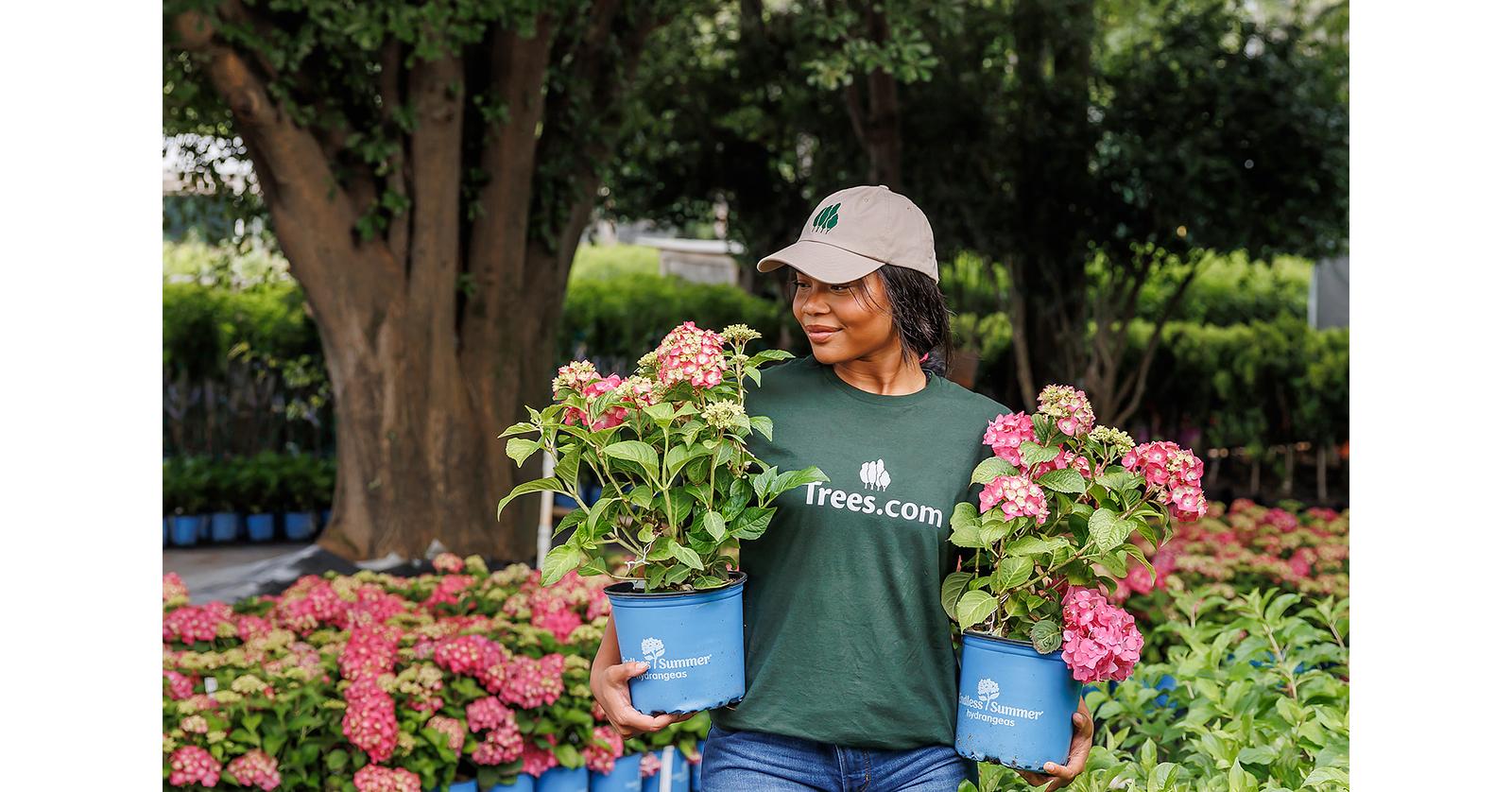 Fast Growing Trees is now Trees.com