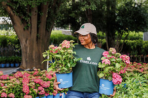 Fast Growing Trees is now Trees.com