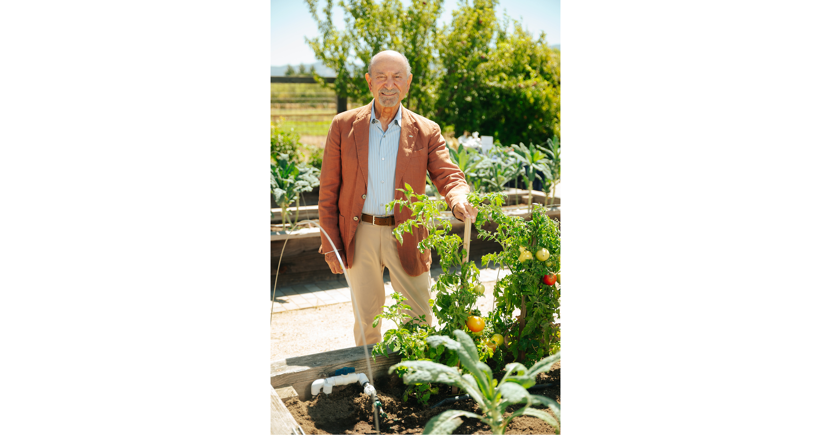 OLE Health Foundation Celebrates 40 Years with the Return of Vida OLE!, September 17-19, 2026