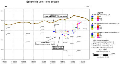 Figure 2: Long section of the Escondida Vein showing drill intercept locations and the mine workings