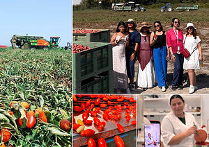 Red Gold from Europe promotes the Culinary Heritage of Italian and EU Preserved Tomatoes in Bahrain
