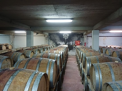 Repaired and waterproofed with the Penetron System: The Boutari Winery underground wine cellars in Stenimachos showed concrete deterioration along the walls and active groundwater leakage.