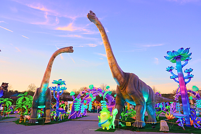 LuminoCity Dino Safari features 70+ life-size dinosaurs, immersive light displays, and a glowing prehistoric world designed for family adventures.