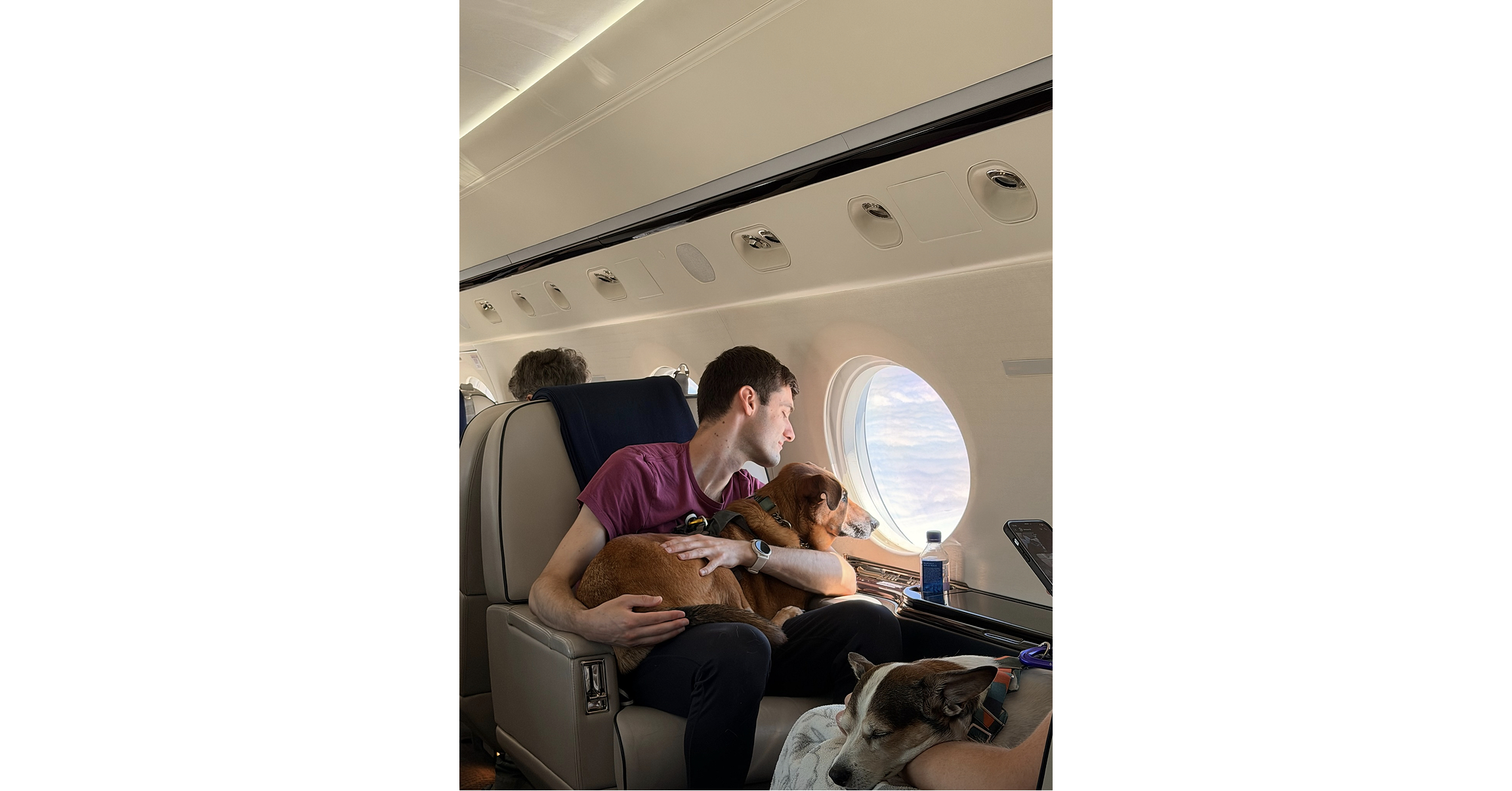 Vicuna Air Introduces Vicuna Waypoints: Extending Its Pet-First Network Beyond the Flight