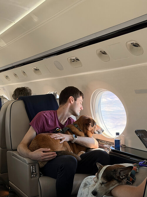 Vicuna Air passengers, both two- and four-legged, enjoy the view together from the cabin. Vicuna Waypoints will extend the same pet-first approach to the journey before departure and after landing.