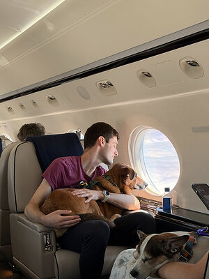 Vicuna Air presenta Vicuna Waypoints: Ampliando su red centrada en las mascotas más allá del vuelo