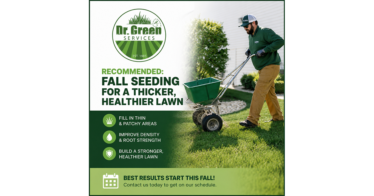 Chicago-Area Lawns Enter Critical Fall Recovery Window After Summer Stress, Says Dr. Green Services