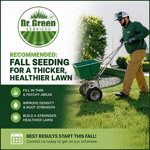 Chicago-Area Lawns Enter Critical Fall Recovery Window After Summer Stress, Says Dr. Green Services