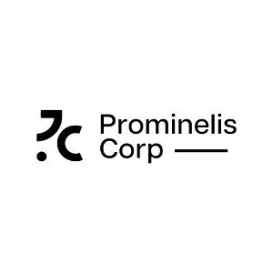 Prominelis Corp Shares Research on Documentation Gaps That Slow U.S. Market Entry for International Companies