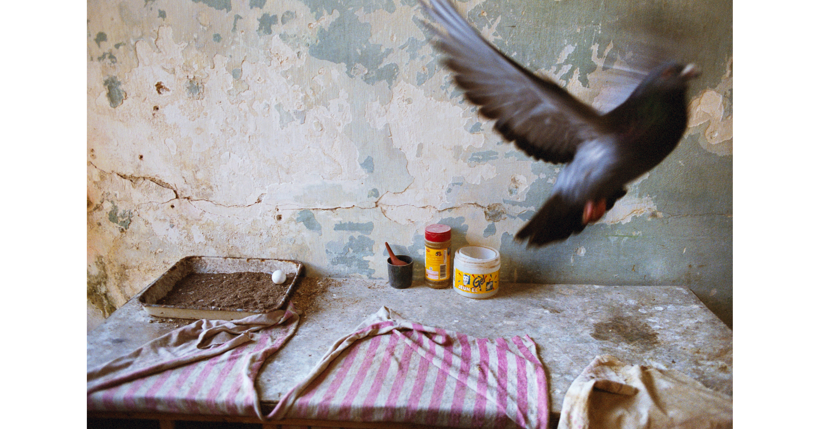 Leica Store & Gallery Chicago Presents Slant Rhymes by Alex Webb and Rebecca Norris Webb
