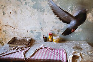 Leica Store & Gallery Chicago Presents Slant Rhymes by Alex Webb and Rebecca Norris Webb