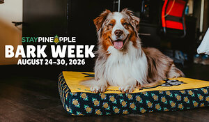 STAYPINEAPPLE TURNS INTERNATIONAL DOG DAY INTO FULL WEEK OF GIVING BACK WITH "BARK WEEK"