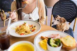 ¡Guau, qué plan! OpenTable revela los top 50 restaurantes pet-friendly en la Ciudad de México