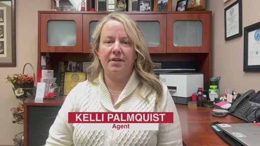 In HelloNation, Insurance Expert Kelli Palmquist of Roseau, MN Identifies Homeowners Insurance Gaps in Small Communities