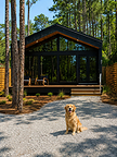 Pet-friendly, always and forever.