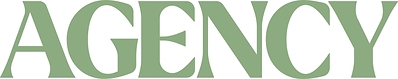 Agency Skin 2026 Logo