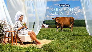 Stonyfield Organic Launches First-Ever Organic Cow Spa, Inspired by the Cow Care Behind Organic Farming