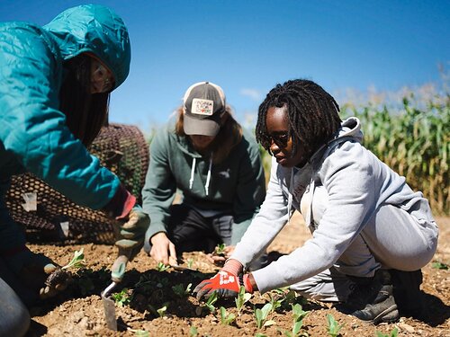 Throughout September, Natural Grocers® will raise funds for Rodale Institute. Customers can help support the next generation of regenerative organic farmers through in-store giving opportunities.