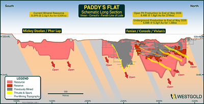 Figure 4: Paddy’s Flat Schematic Long Section