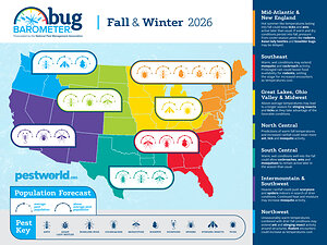 Summer's Not Clocking Out Yet: Warmer Fall Forecast Could Extend Pest Activity Across the U.S.