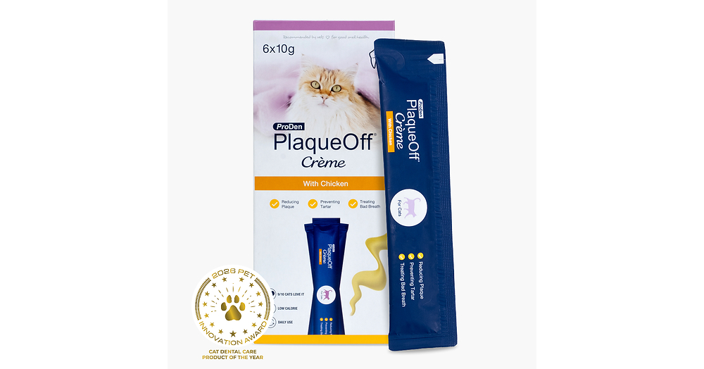 La crème ProDen PlaqueOff® de Swedencare élue « Produit de l'année pour les soins dentaires félins » par les Pet Innovation Awards
