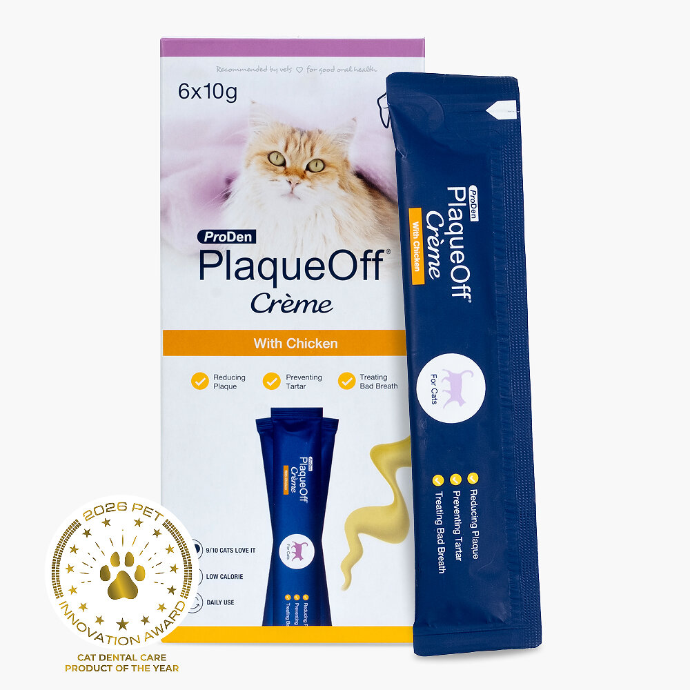 La crème ProDen PlaqueOff® de Swedencare élue « Produit de l'année pour les soins dentaires félins »