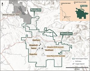 VIZSLA COPPER DRILLS 48.5 METERS OF 3.32% COPPER WITHIN 266.0 METERS OF 0.97% COPPER AT THE DEERHORN DEPOSIT, WOODJAM PROJECT, CENTRAL BRITISH COLUMBIA