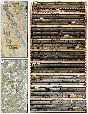 Figure 4. Core photos of DH26-136. A. Example of quartz-chalcopyrite stockwork cutting k-feldspar altered monzonite from the upper copper-gold zone (Table 1) at 167.8 meters downhole, B. Box photos showing drill core from 318.0 meters to 345.3 meters down hole which includes a high-grade interval of 21.5 meters of 5.63% Cu (Table 1). Individual down hole copper assay results are annotated at the sample depths to illustrate the distribution of copper grades within the interval. The interval consists of chalcopyrite-quartz stockwork and breccias and semi-massive chalcopyrite, C. Quartz-chalcopyrite breccia at 325.7 meters downhole. Abbreviations: Cu = copper, qtz = quartz, cpy = chalcopyrite, k-spar = potassium feldspar. Photographs of drill core are provided for illustrative purposes only. Visual estimates of mineralization are inherently imprecise and may not accurately reflect true grade. Readers are cautioned that photographic representations of mineralization should not be relied upon as a substitute for analytical assay results and do not represent the average grade of any sample interval.