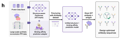 Figure 5 | Aureka’s workflow for the AIntibody challenges