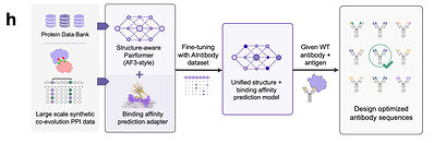 Figure 5 | Aureka’s workflow for the AIntibody challenges