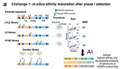 Figure 3 | Schematic of the Challenge 1 affinity maturation task