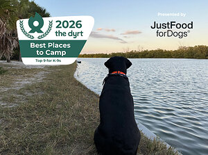 Top 9 for K-9s: 2026 Best Places to Camp with Dogs, According to The Dyrt