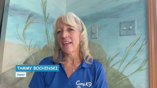 In HelloNation, Doggy Daycare Expert Tammy Bochinski Explains What Happens During a Day at Dog Daycare