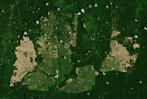 Indonesia's Forest-Zone Oil Palm Dilemma: Why Laws Aren't Enough