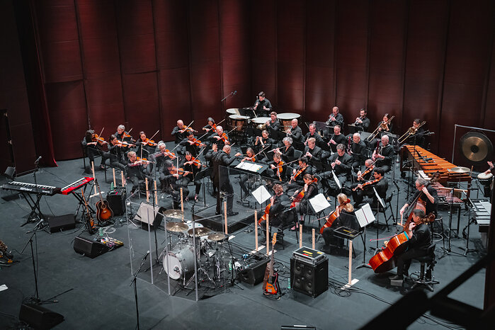 The TSO performs the "Reggae Roots" program at The Rose Brampton, April 2023 (Photo by Christina DeMelo/Courtesy of the Toronto Symphony Orchestra)