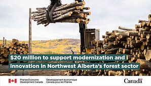 Federal investment helps defend Alberta's forest sector against U.S. tariffs